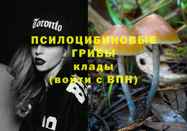 твердый Россошь