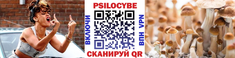 Псилоцибиновые грибы мухоморы наркошоп Клин