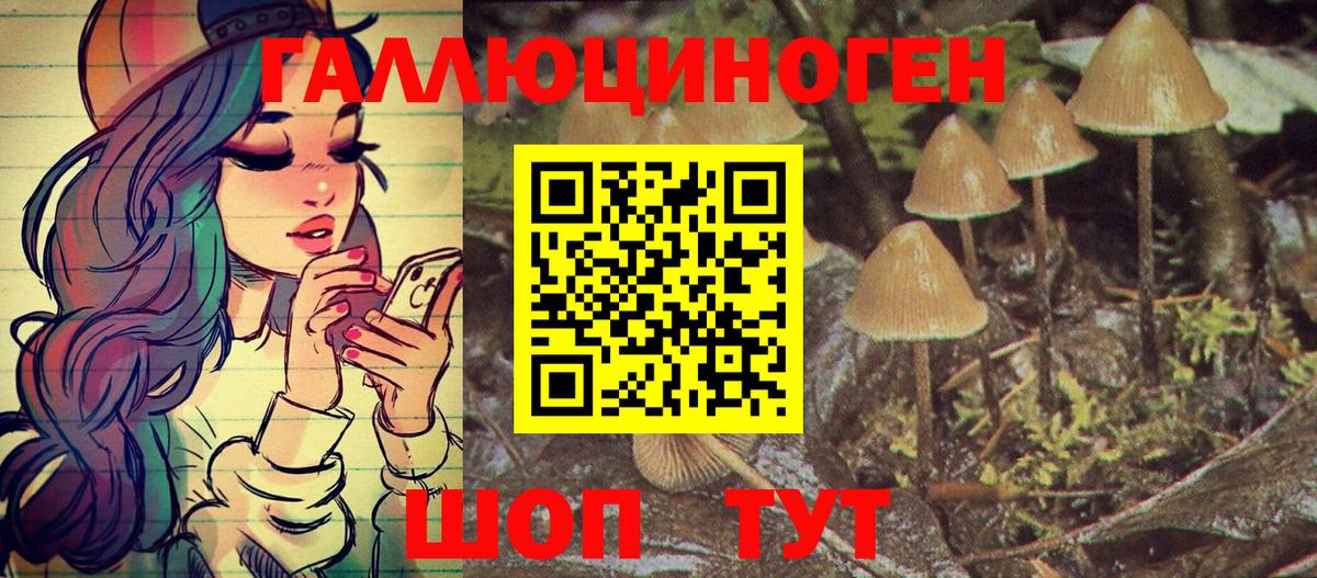 Псилоцибиновые грибы Psilocybe Клин