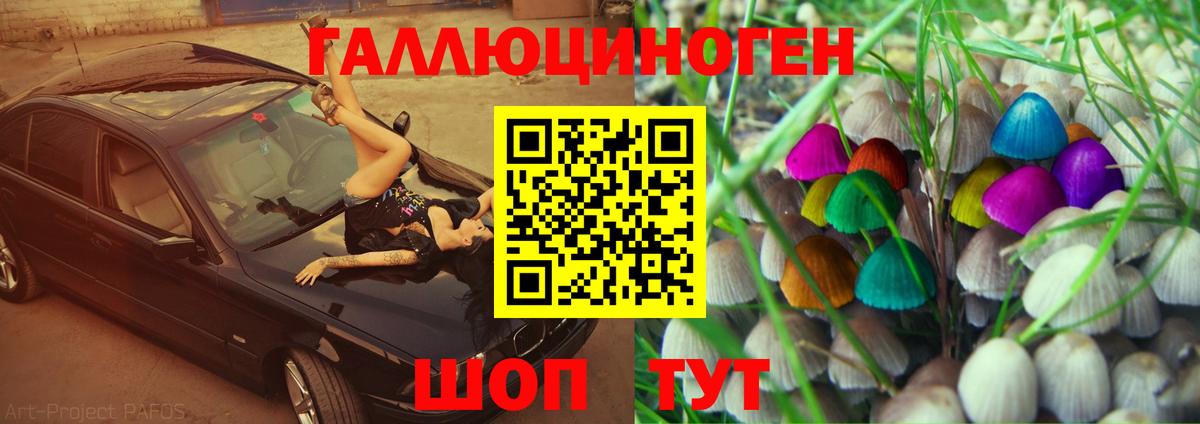 Клин  Псилоцибиновые грибы ЛСД  Галлюциногенные грибы Psilocybine cubensis  Вход с VPN 